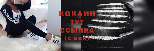 соль ск Арсеньев