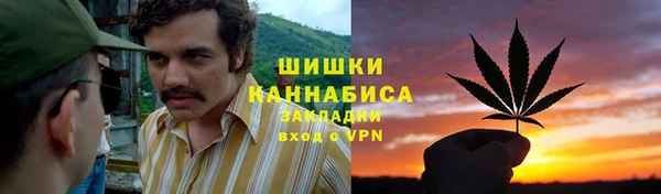 стафф Рославль