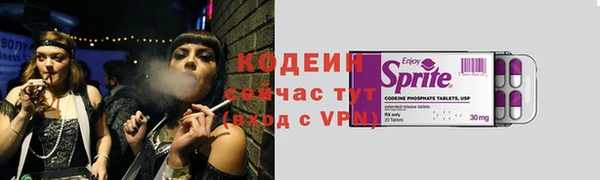 соль ск Арсеньев