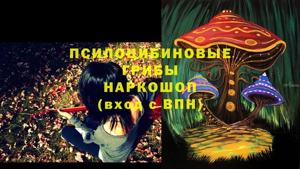 мет Аркадак
